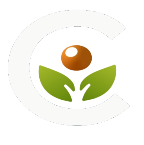 Kadacpa